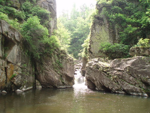 茅蘭溝